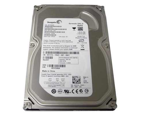 Seagate ST3250310AS